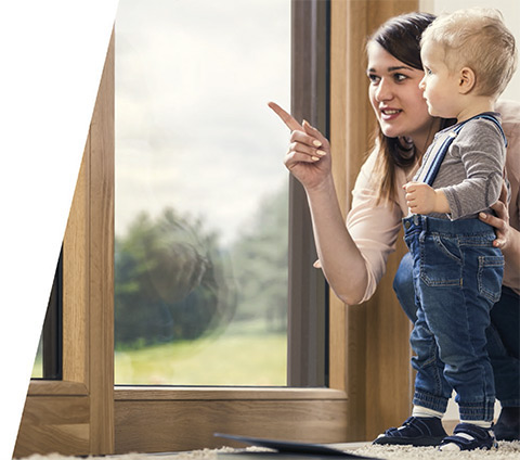 Vertical Windows INNOVIEW | HST Doors / PSK Doors - FAKRO